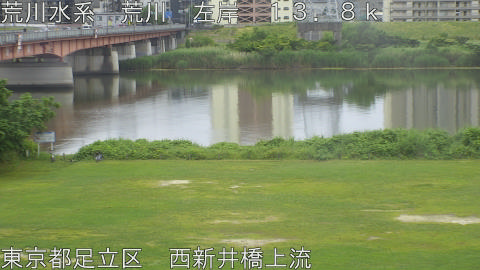 arani2026060711_image