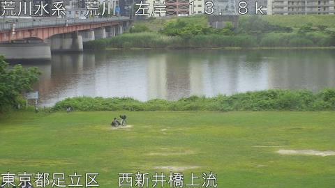 arani2026060712_image