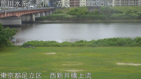 arani2026060714_image