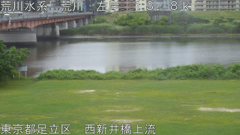 arani2026060715_image