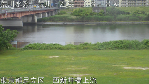 arani2026060716_image