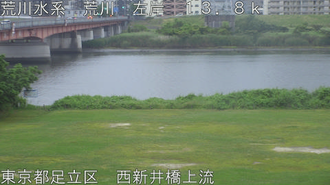 arani2026060718_image