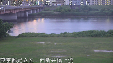 arani2026060719_image