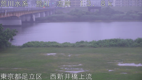 arani2026060805_image