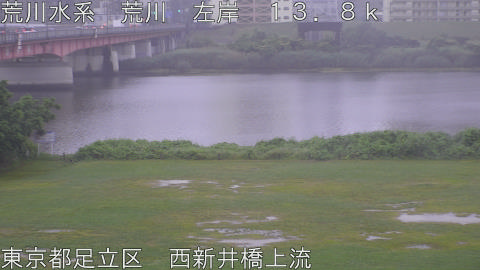 arani2026060806_image