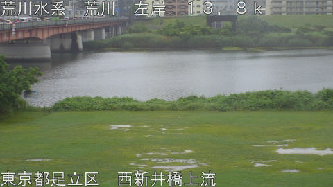 arani2026060807_image