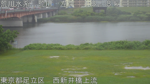 arani2026060808_image