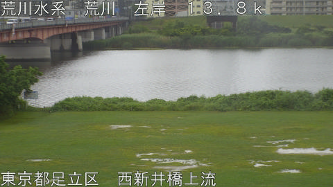 arani2026060810_image