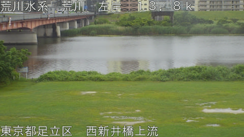 arani2026060811_image
