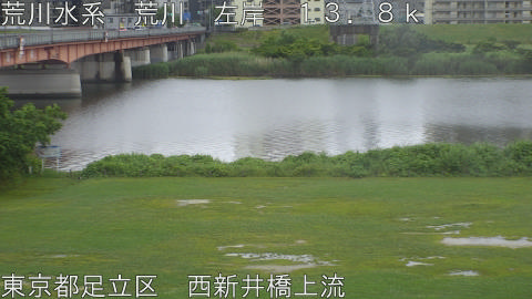 arani2026060812_image