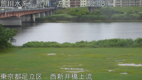 arani2026060814_image
