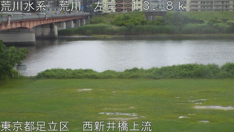 arani2026060816_image