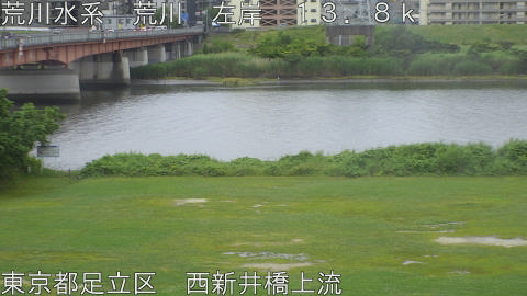 arani2026060817_image