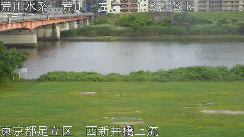 arani2026060818_image