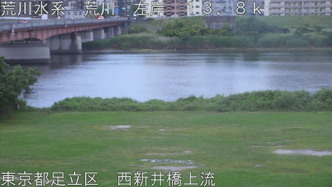 arani2026060819_image