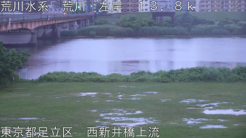arani2026060905_image