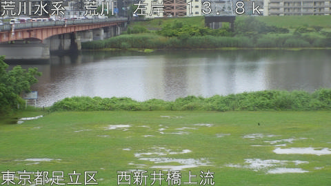 arani2026060908_image