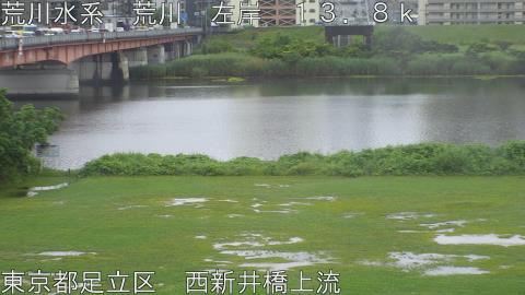 arani2026060909_image