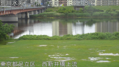 arani2026060912_image