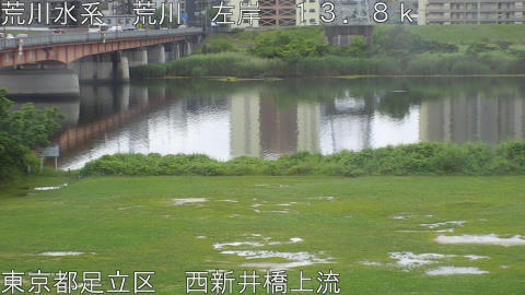 arani2026060913_image