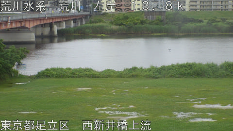 arani2026060914_image