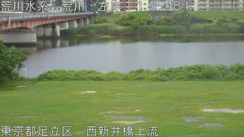 arani2026060915_image