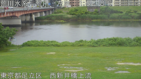 arani2026060916_image