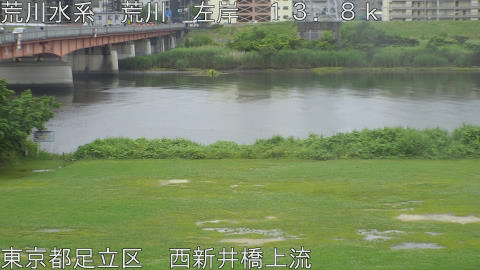 arani2026060917_image