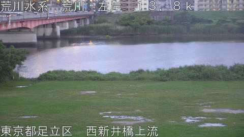 arani2026060919_image