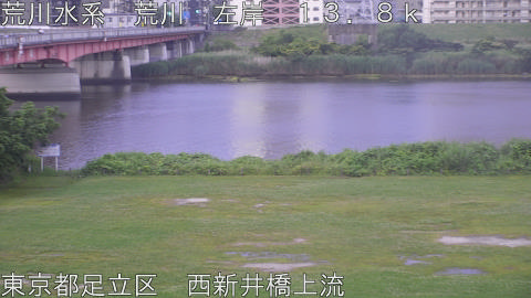 arani2026061005_image