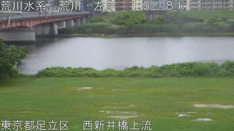 arani2026061006_image