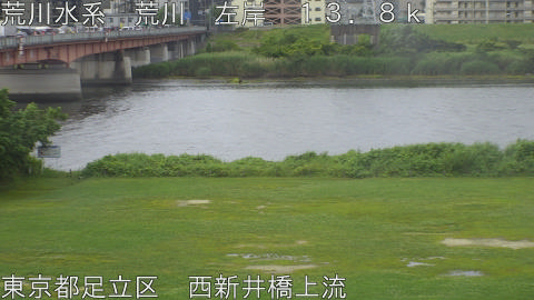 arani2026061008_image