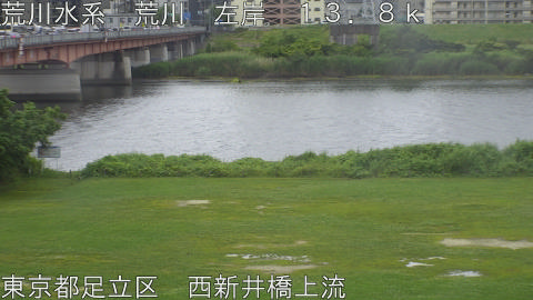 arani2026061009_image