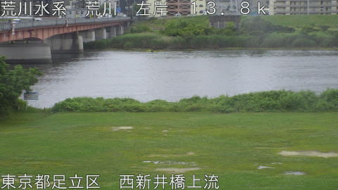 arani2026061010_image
