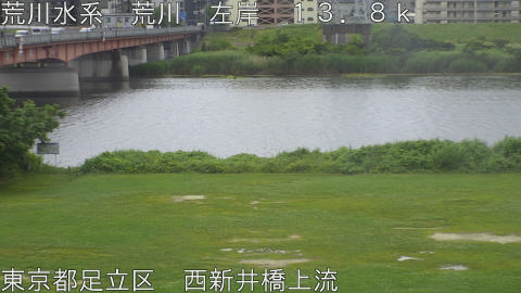 arani2026061012_image