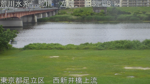 arani2026061013_image