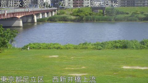 arani2026061015_image