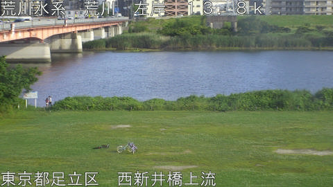 arani2026061017_image