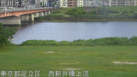 arani2026061018_image