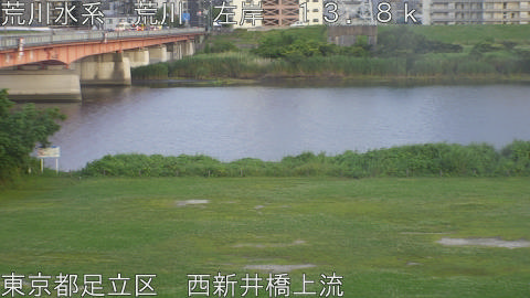 arani2026061019_image