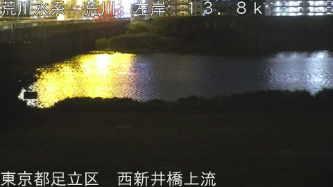 arani2026061022_image