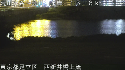 arani2026061023_image