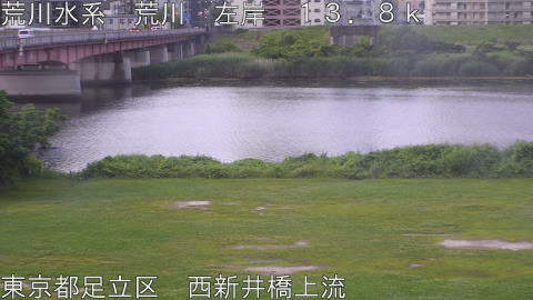 arani2026061105_image
