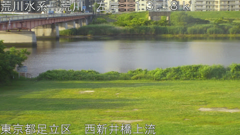 arani2026061106_image