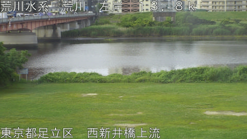 arani2026061107_image