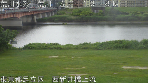 arani2026061108_image