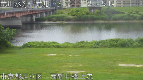 arani2026061110_image
