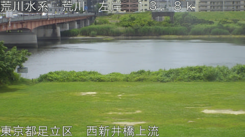 arani2026061111_image