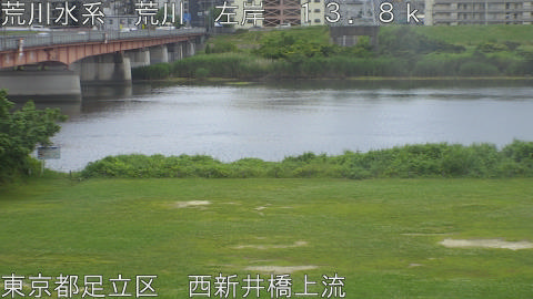 arani2026061112_image
