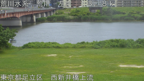 arani2026061113_image